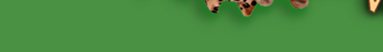 14.jpg (8234 bytes)