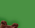5.jpg (12810 bytes)